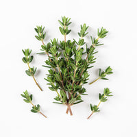 Thyme