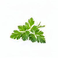 Parsley