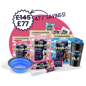 Tummy-Tastic Wellness Bundle