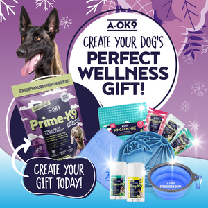 Create Your Dog's Perfect Gift