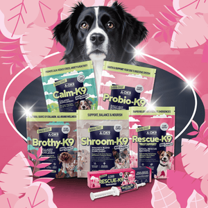 Complete Gut Reset Bundle