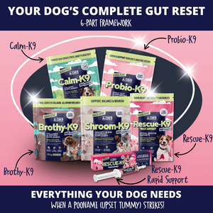 Complete Gut Reset Bundle
