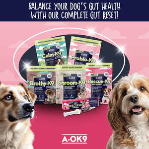 Complete Gut Reset Bundle