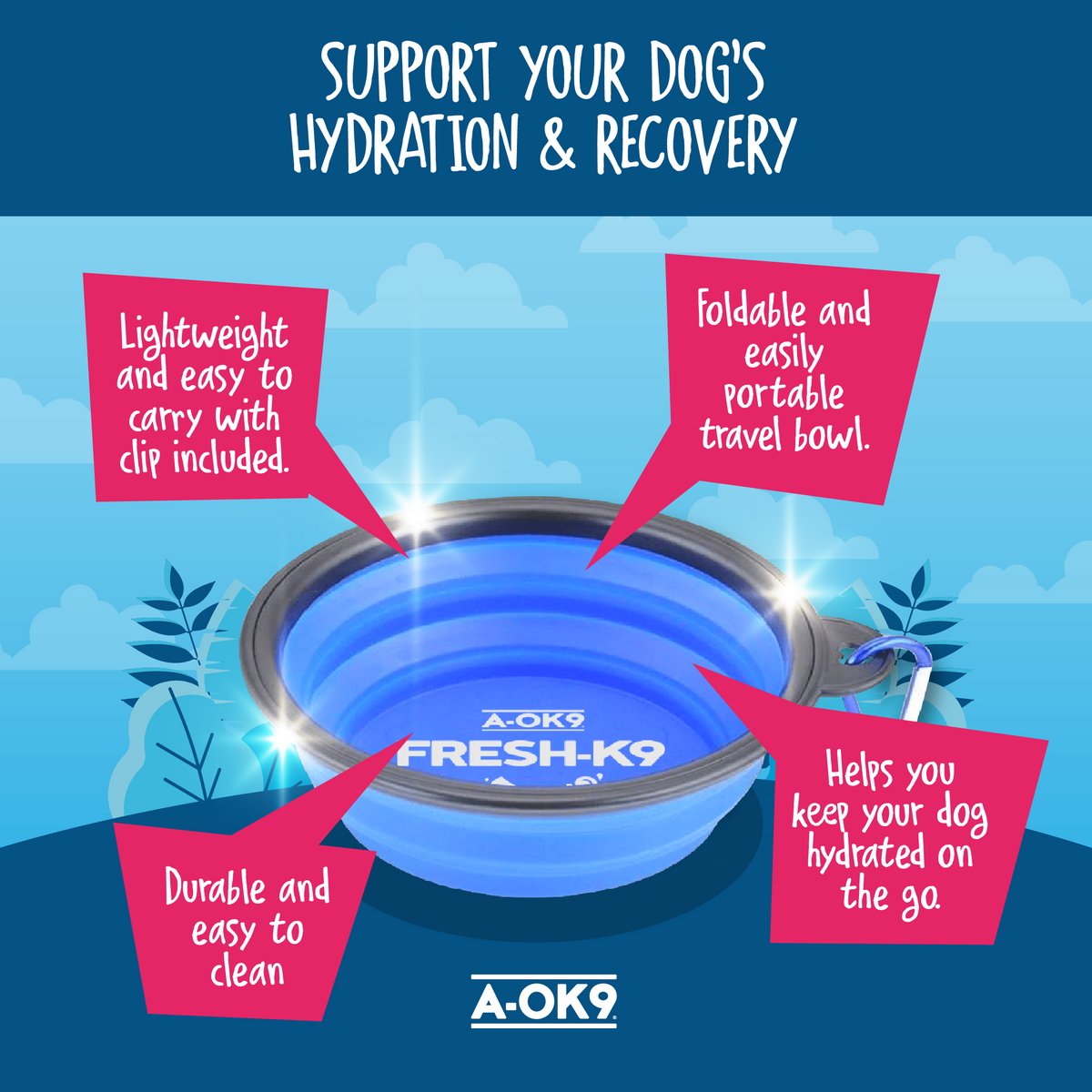 Tummy-Tastic Wellness Bundle