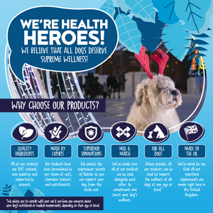 Create Your Dog's Perfect Gift