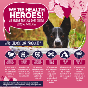 Rescue-K9 Rapid Support