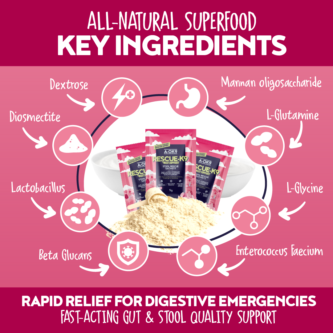 Tummy-Tastic Wellness Bundle