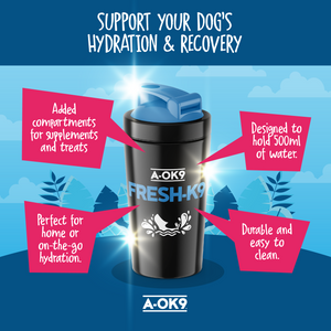 Tummy-Tastic Wellness Bundle