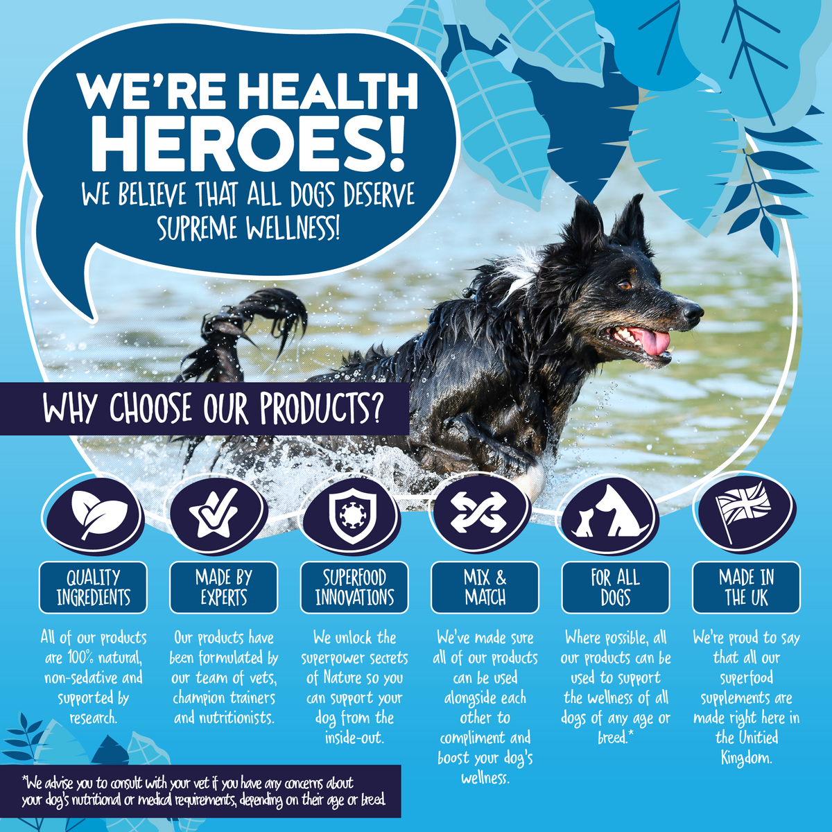 Tummy-Tastic Wellness Bundle