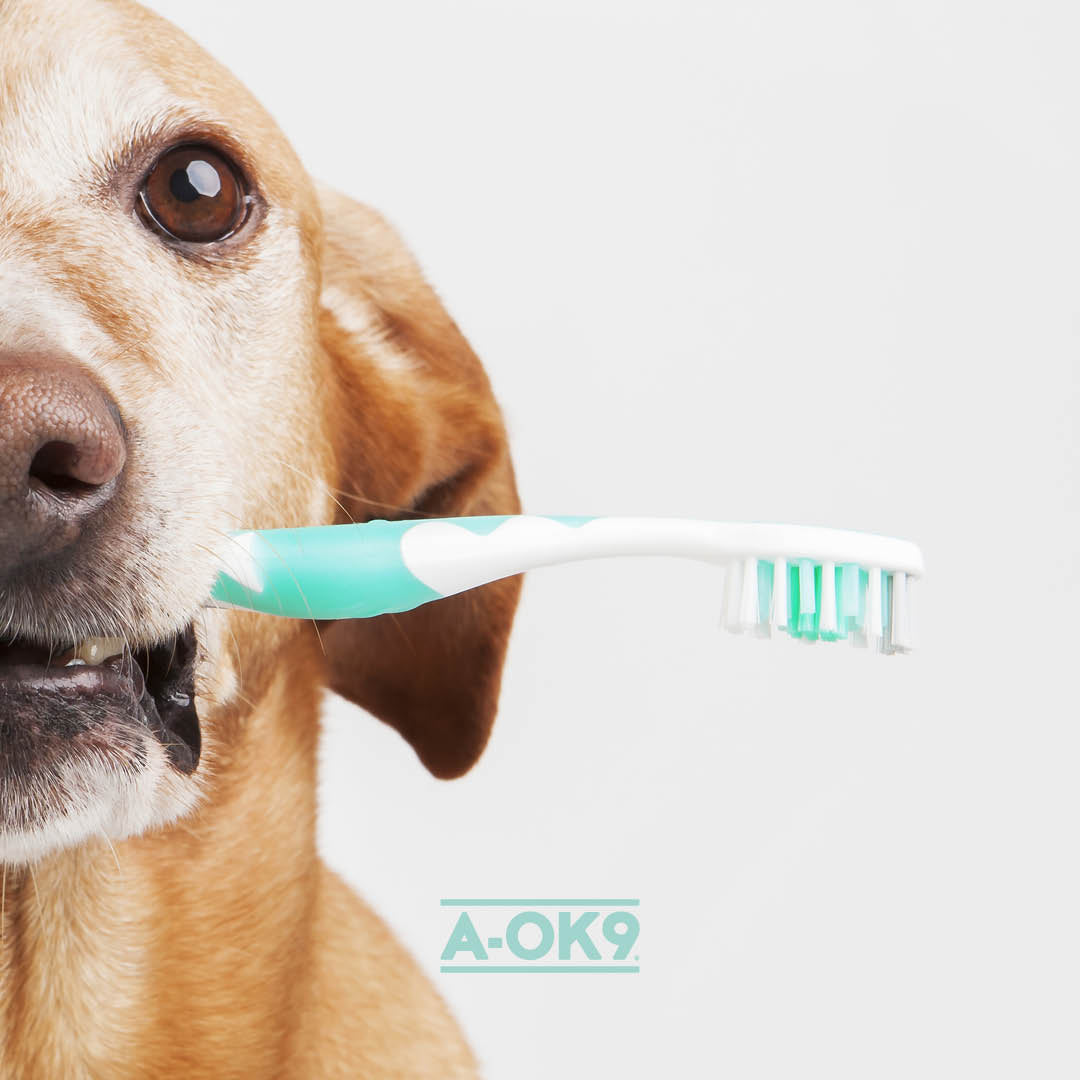 Stress-Free Toothcare-Time: Top 3 Tips on Dental Hygiene Training & Teeth Brushing