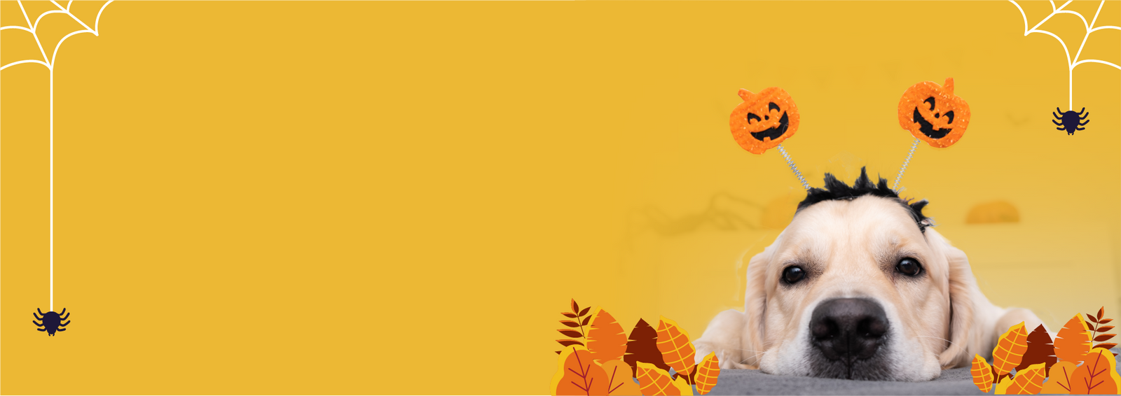 6 Howling Halloween Hacks to Keep Your Dog Safe and Calm