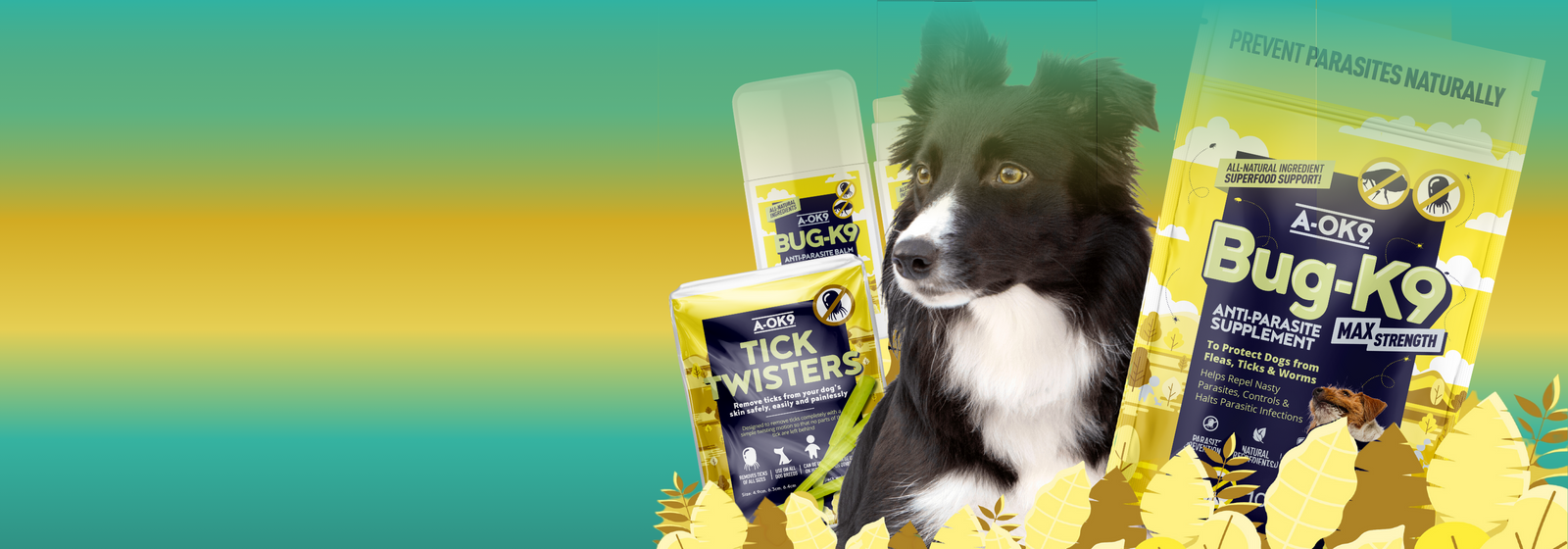 5 Tips To Keep Your Dog Safe From Parasites