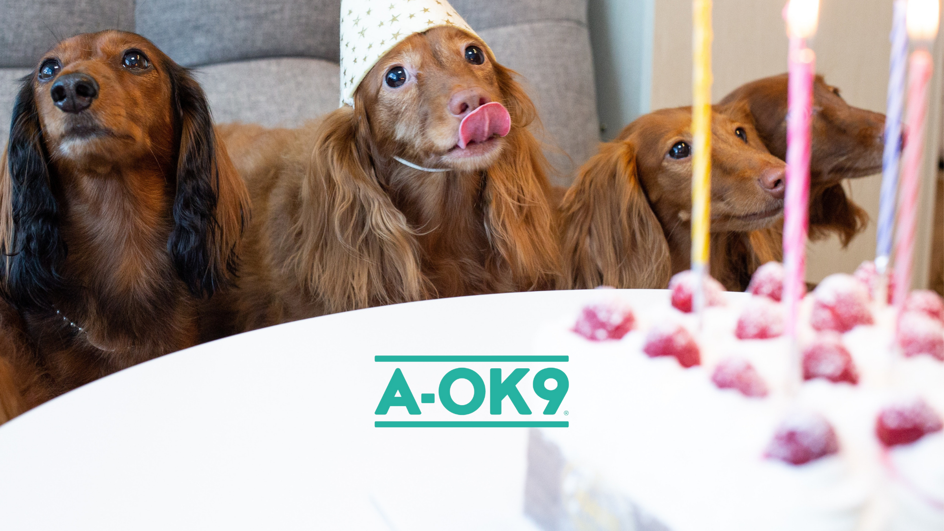 Jubilee Weekend Party Food Recipes ... For Dogs!
