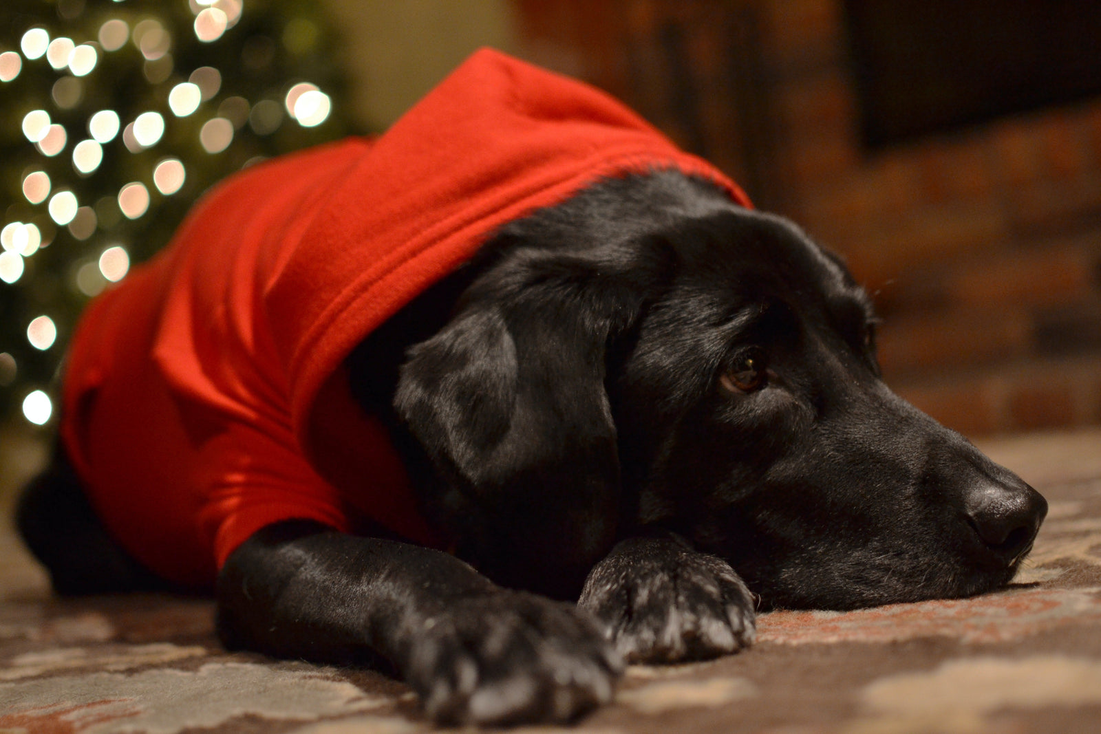 How To Go From Christmas Chaos to Christmas Calm!