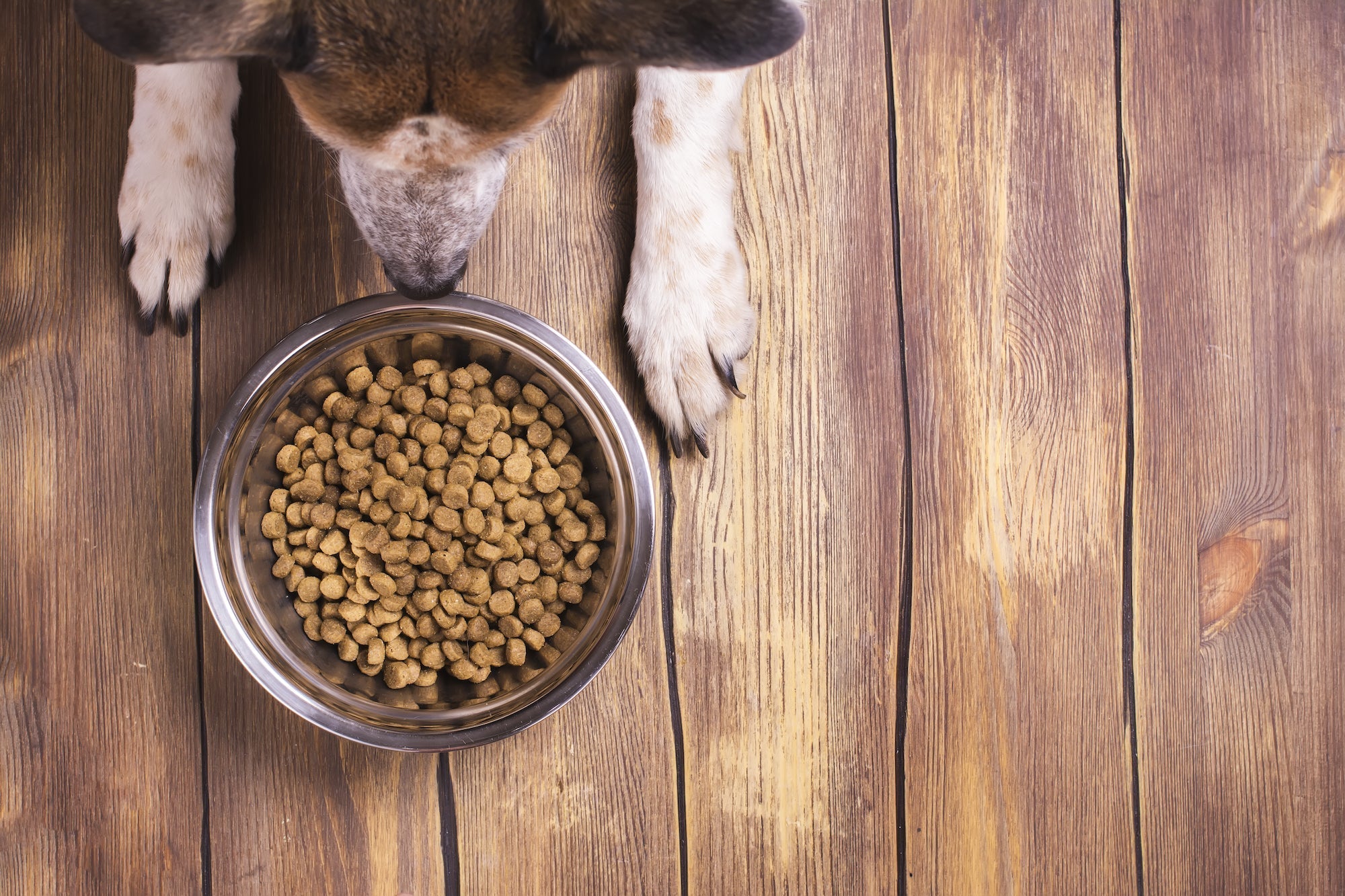 5 Creative Ways to Feed A-OK9 Supplements
