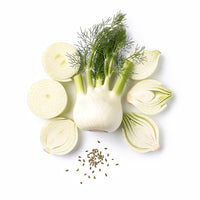 Fennel