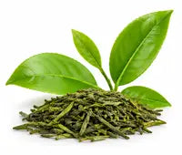 Odour Targeting Green Tea Extract