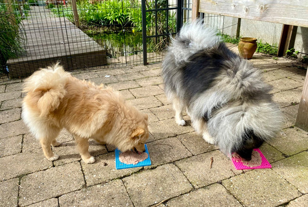 <p>Great quality!</p><p>These mats are so much better than others that I bought. They go into the dishwasher as well and survive, and my dogs really use them intensely.</p>
