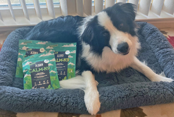 <p>Helpful</p><p>Puppy didn't like the crate. So the Calm helped. Now he is going through one of the fear periods.</p><p>:)<br/></p>