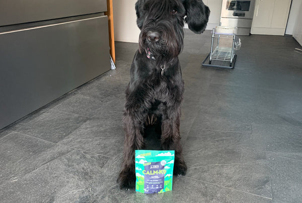 <p>Game-changer</p><p>Calm-K9 is just part of her daily supplements and happy to<br/>continue using this product. I have a large breed dog so multibuy works for me, plus it's a great price.</p>