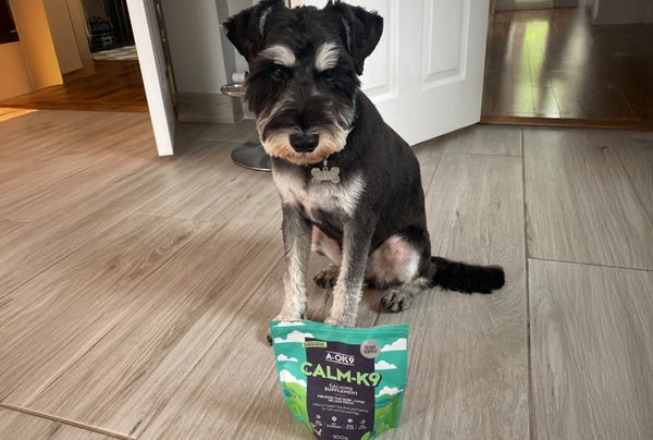 <p>We started noticing him being calmer on walks and in the house after 3 weeks.</p><p>He doesn't bark at things out the windows so much either. We'll definitely be purchasing Calm-K9 for the foreseeable future!</p>