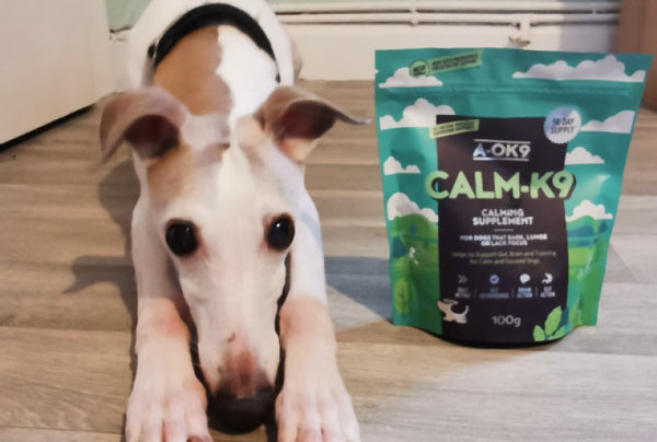<p>We were excited for Marley's A-OK9 Calm-K9 to arrive. He's so much more relaxed and less reactive on walks when on this. I give a small dose to Arkle too, which seems to help him stay focussed during training sessions.</p>