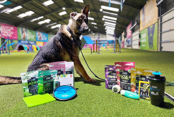 <p>WOW. After Jerry Lee's second operation to remove a bit more of his ear he has been sent lots of healthy supplements and free Calm-K9 for life.</p><p>Thank you A-OK9.</p>