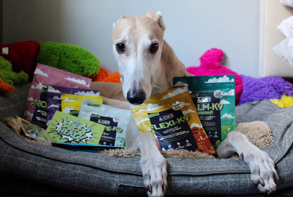 <p>A huge Thank You to A-OK9 for the PAWESOME Wellness Wonderbox!</p><p>We are super excited to try out this amazing collection of supple- ments and holistic supports!</p>