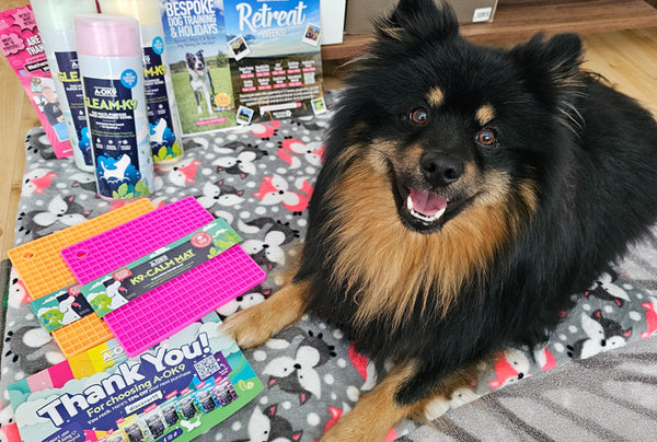 <p>Perfect!<br/>Perfect for my small dogs!<br/>Good quality and fast delivery.<br/><br/></p>