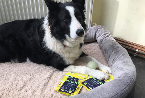 <p>I love the fact that our dogs are not having chemicals put on their skin. I also love the fact it's on subscription, so I don't need to remember to buy the treatments. Thank you. x</p>