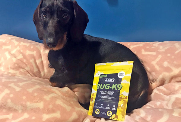 <p>Peace of Mind - I love this product. I know my dogs are getting a science- based, easy-to-use, easy-to-digest powder of the correct dose that means I never have to worry about nasty bugs or parasites again.</p>