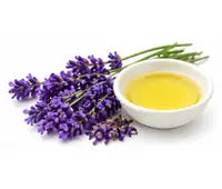 Lavender Oil
