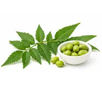 Neem Oil
