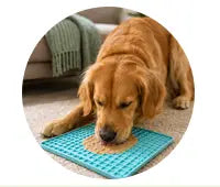 Enrichment For Calmness
