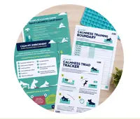 Guided Training Resources