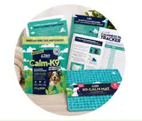 Structured Calm Routine