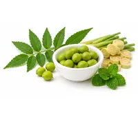 Gut & Gland Supporting Blend