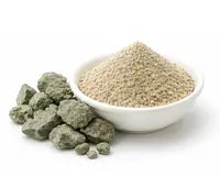 Zeolite Clinoptilolite