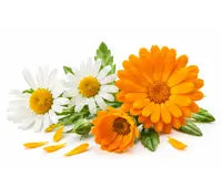 Soothing Chamomile & Calendula