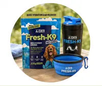 Hydration & Recovery Support