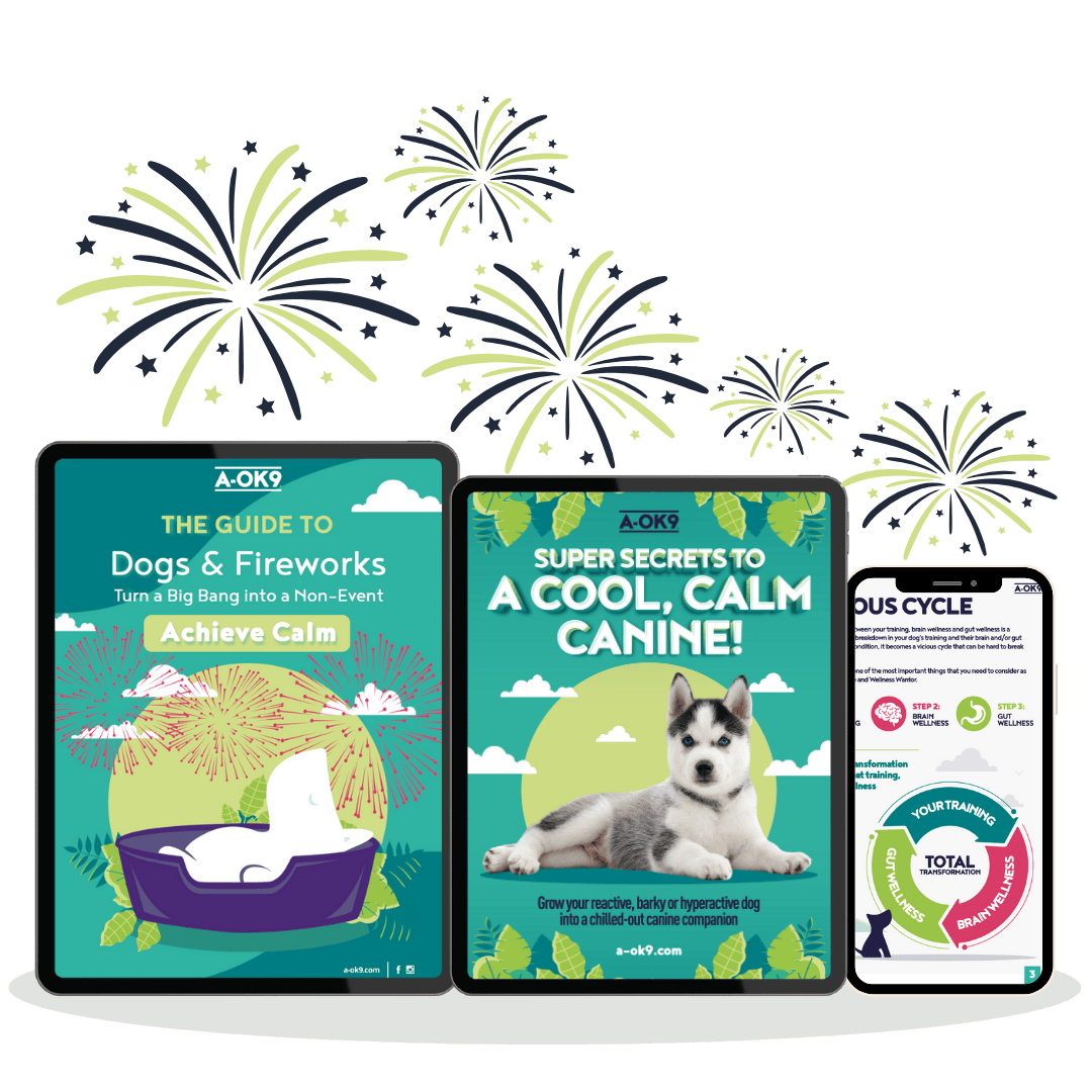 Fireworks Survival Kit