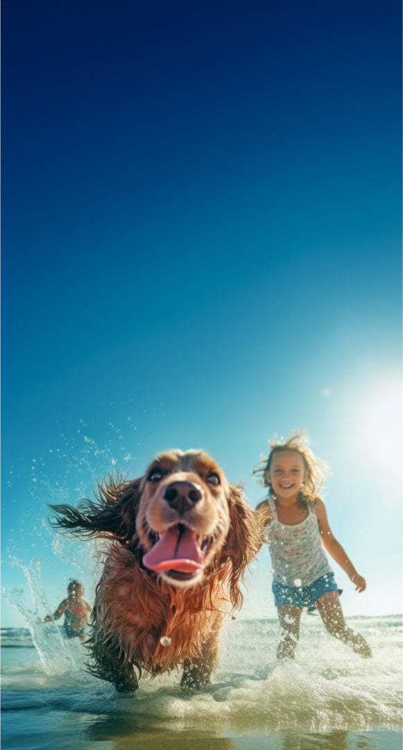 Dog running in water with a child on a beach