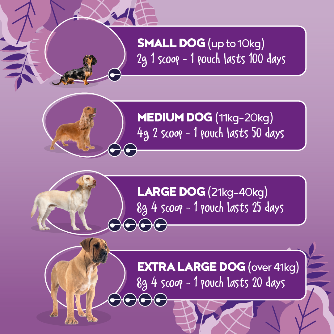 glutathione for dogs dosage chart Prime-K9 Max Strength - Canine Supplements glutathione for dogs dosage chart Prime-K9 Max Strength - Canine Supplements