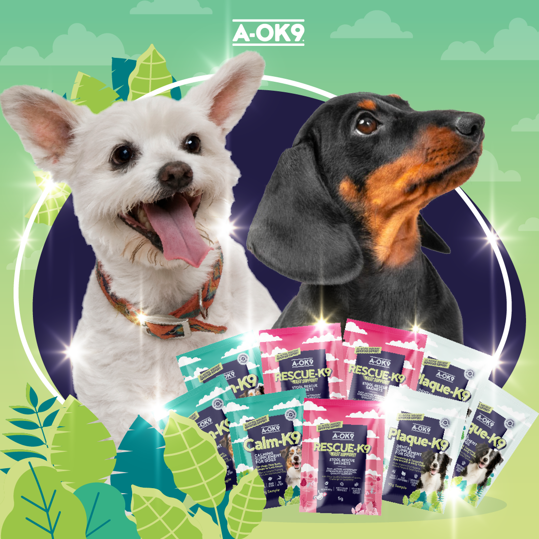 Sample Travel Pack [Calm-K9, Plaque-K9, Rescue-K9]