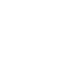 Odour Targeting Green Tea Extract