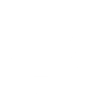 Microbiome-boosting Probiotics