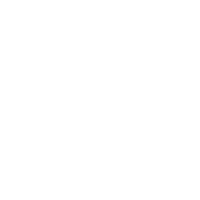 Enriching Mealtimes for Every Dog