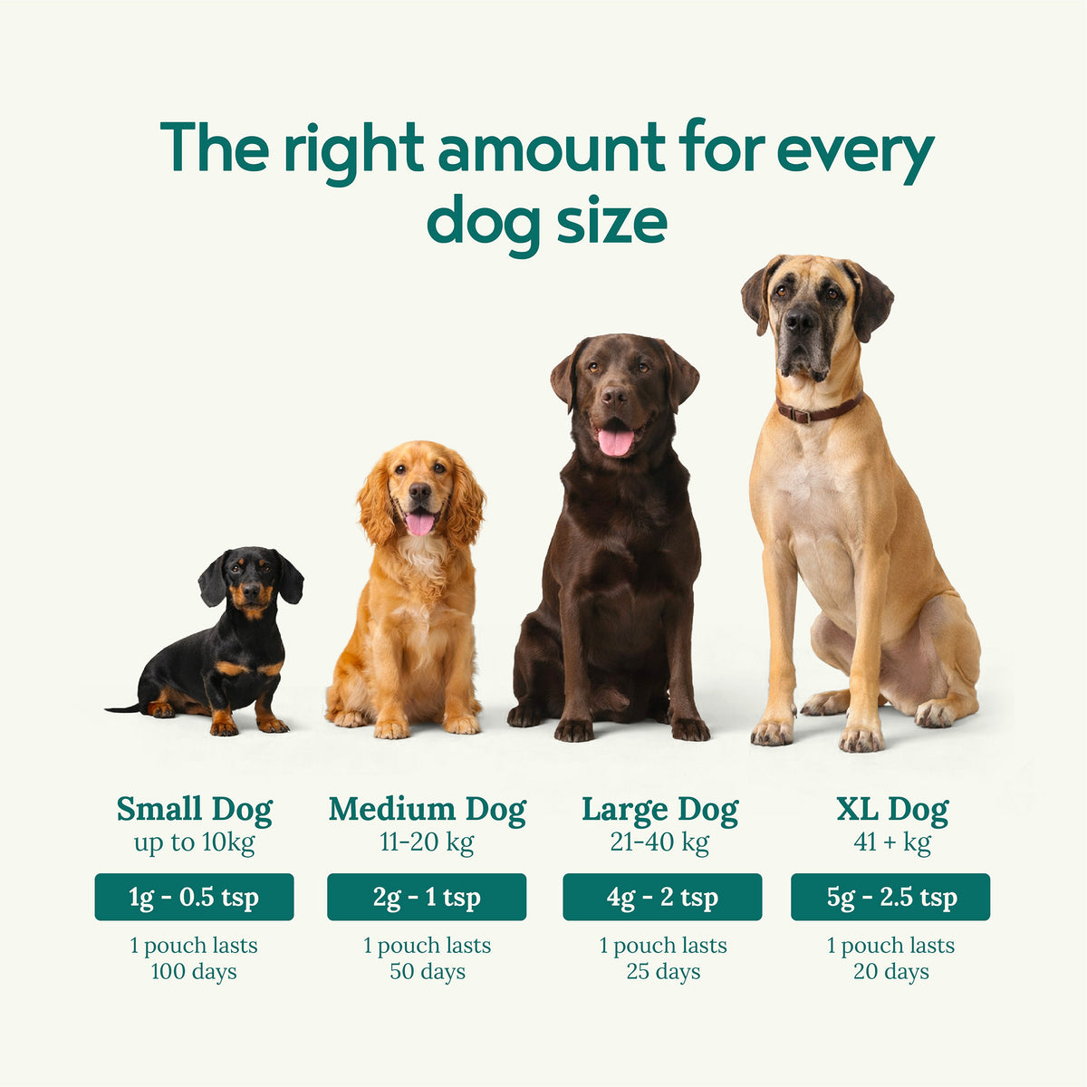 Calm-K9 | Calming Support for Happy, Relaxed Dogs