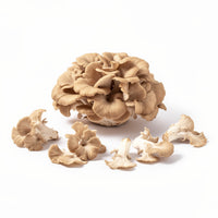 Maitake