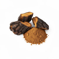 Chaga